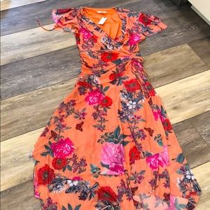 Anthropologie Maxi Dress